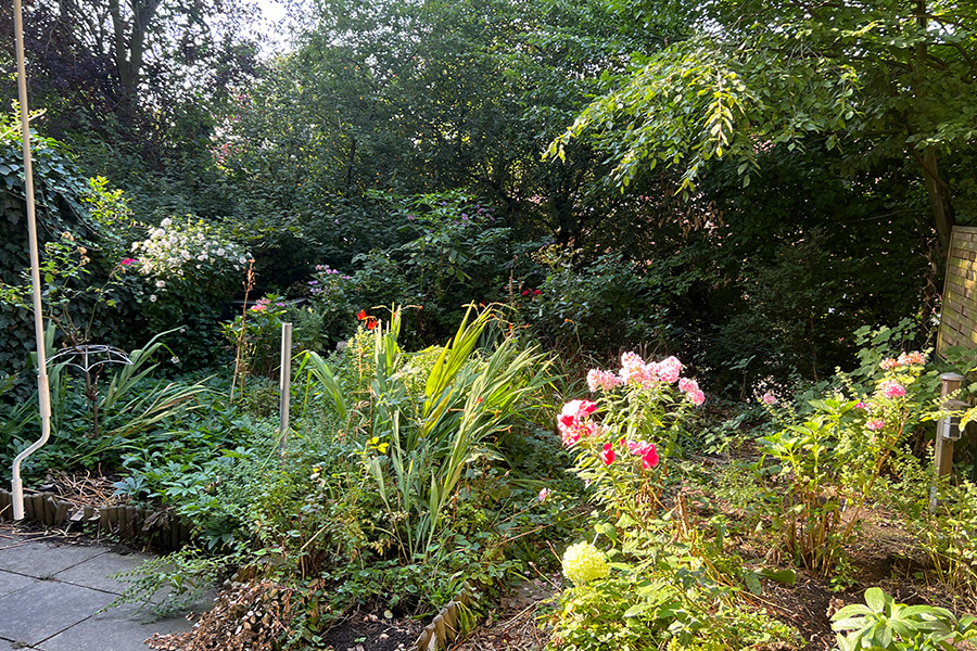 Gärtner Gartenbau msgartenbaustolz gartenarbei in münster Startseite
